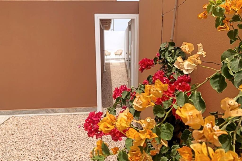 Moderna Casa De Invitados Con Terraza Y Piscina Corralejo Dış mekan fotoğraf